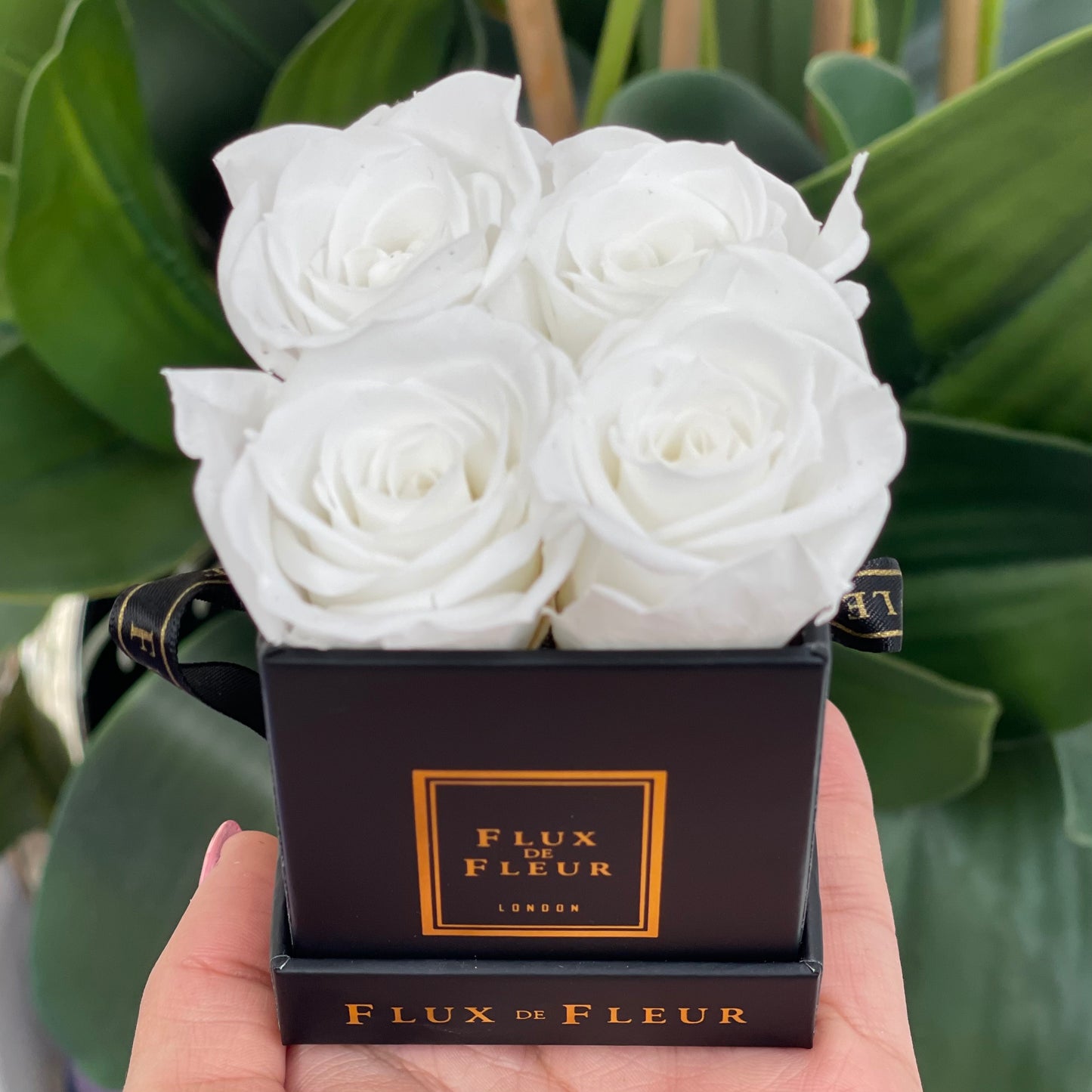 Infinity De Petite Roses - Mini Square