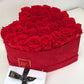 Red Suede Limited Edition - Last One Year