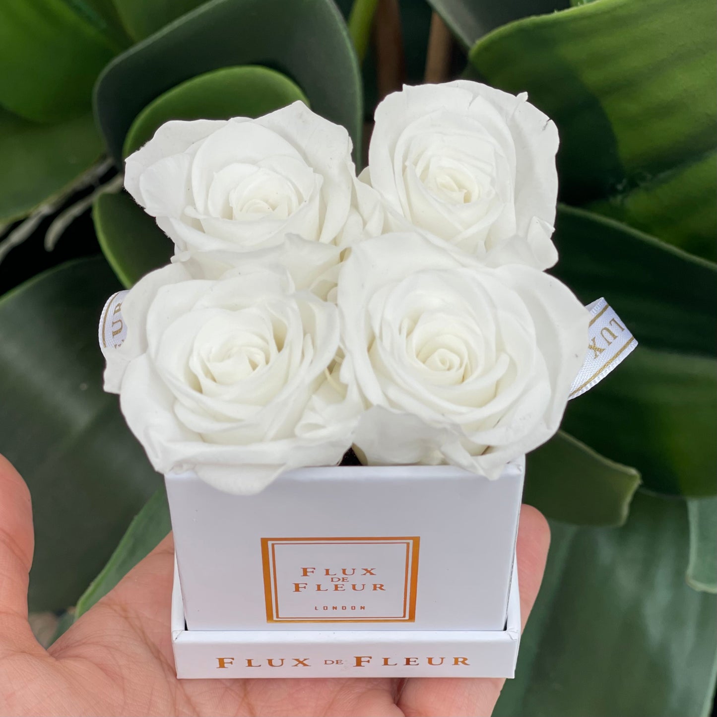 Infinity De Petite Roses - Mini Square