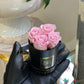 Infinity De Miniature Roses