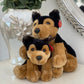 Dog Teddy Duo Set