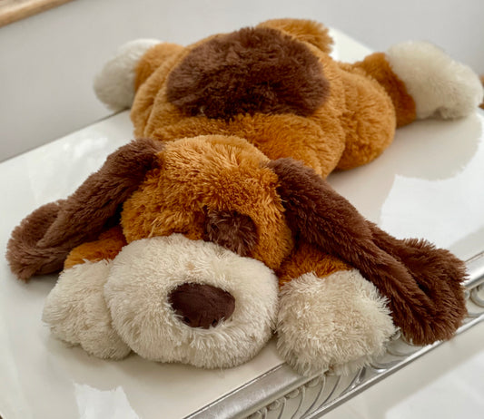 Dog Teddy With Brown Collar - Large