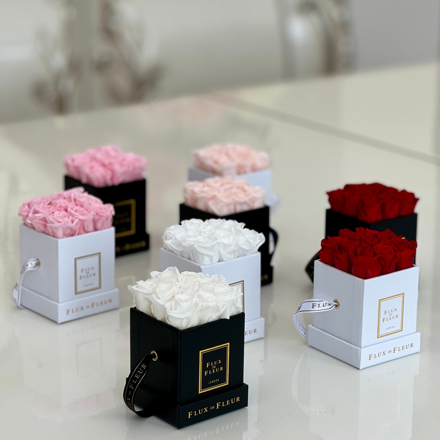 Infinity De Miniature Roses - Square