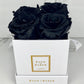 Infinity De Small Square - Roses In A Box
