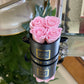 Infinity De Miniature Roses