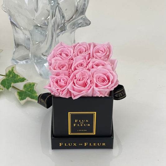 Infinity De Miniature Roses - Square