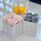 Infinity De Small Square - Roses In A Box