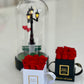 Infinity De Miniature Roses - Square