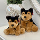 Dog Teddy Duo Set