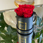 Infinity De Miniature Roses