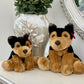 Dog Teddy Duo Set