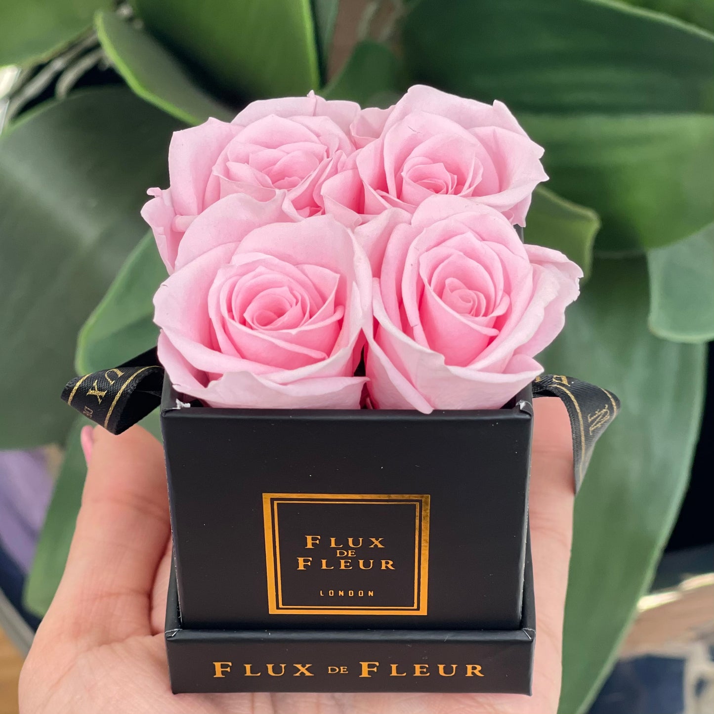 Infinity De Petite Roses - Mini Square