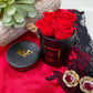 Infinity De Miniature Roses