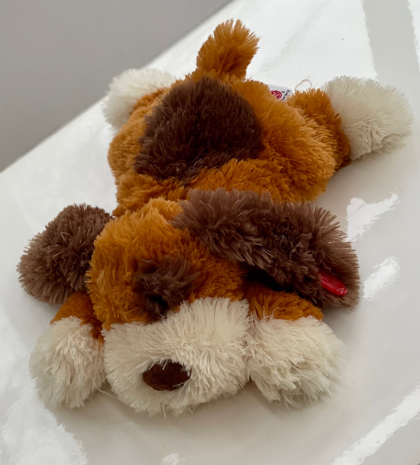 Dog Teddy With Brown Collar - Medium
