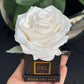 Forever De Fleur - Mini Square
