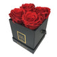 Infinity De Small - Red Roses In A Box